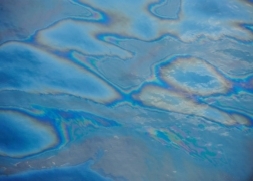 http://1.bp.blogspot.com/_TZ4zYEBSw1I/TA74634lw4I/AAAAAAAAMlI/V0AX734SneU/s1600/Deepwater_Horizon_oil_spill.jpg