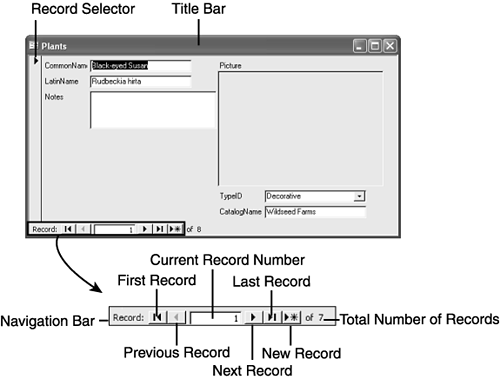 graphics/08fig13.gif