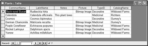 graphics/08fig17.gif