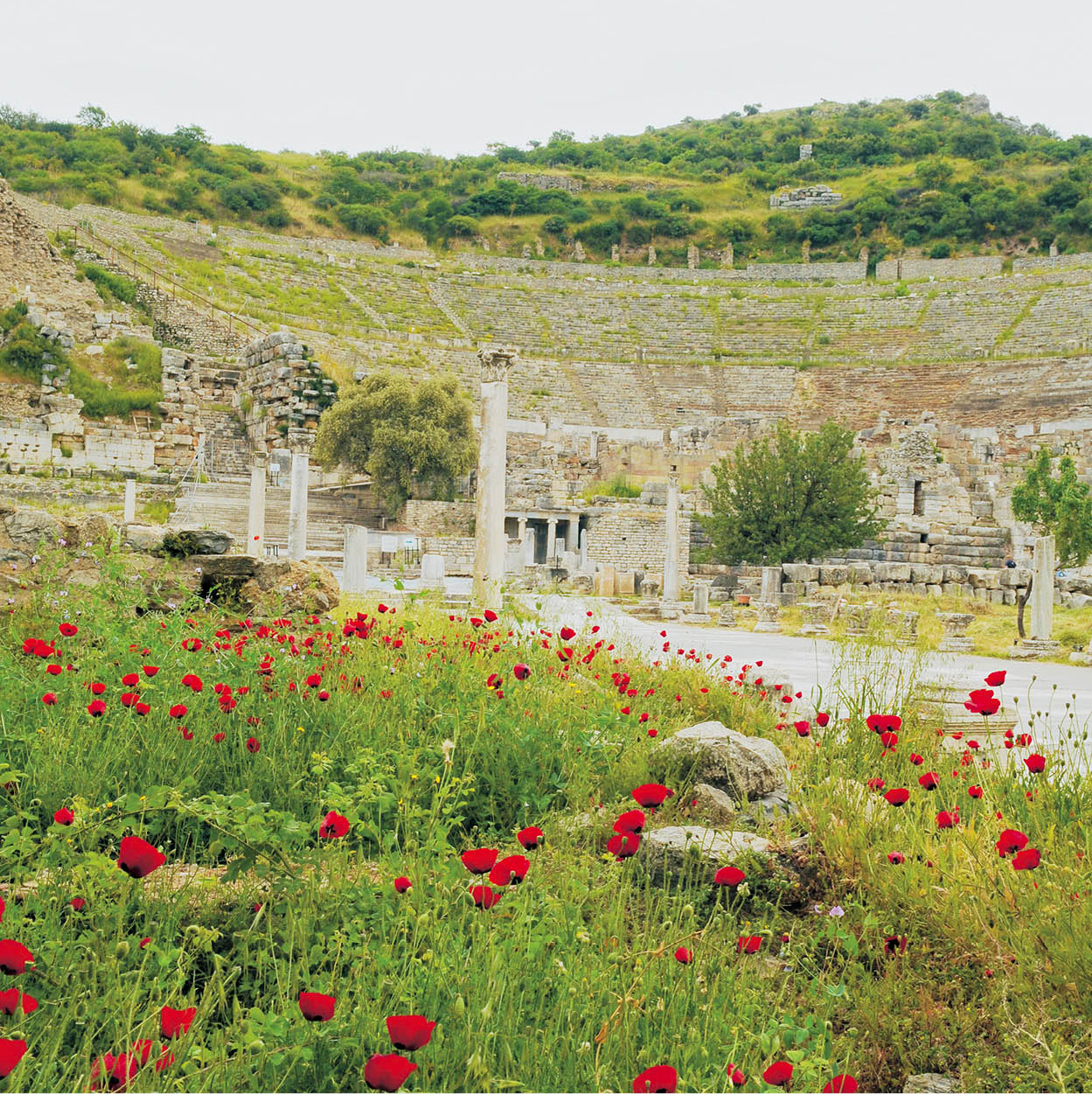 DSC_2445_TurkishCoast_EC.jpg