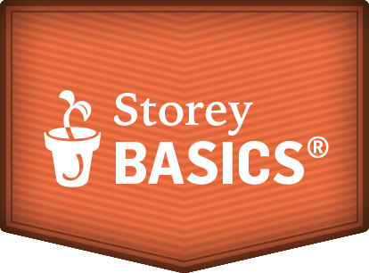 storey-basics.jpg