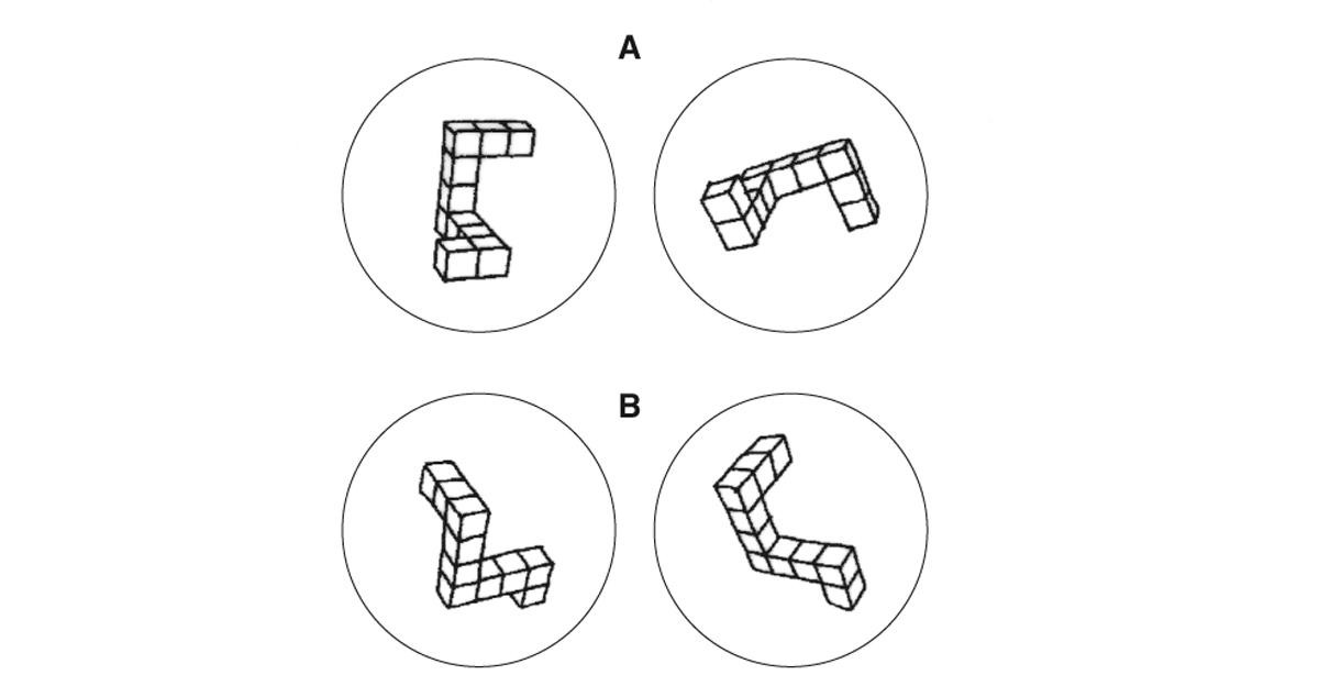 Figure 6. Objets tridimensionnels virtuels utilisés pour tester les capacités d’imagerie mentale