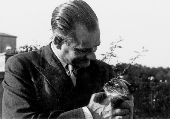 Alberto Moravia sulla terrazza con il gatto Tit.