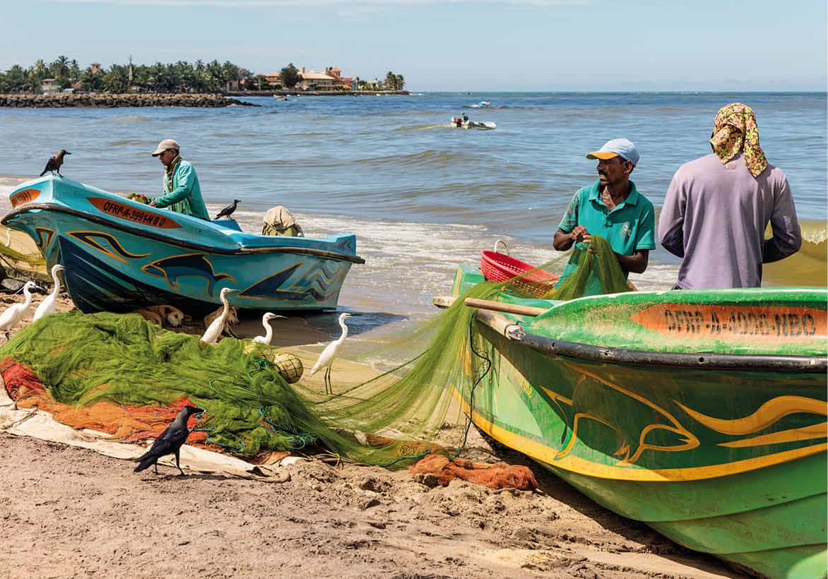 iStock-502912988_SriLanka_EC.jpg