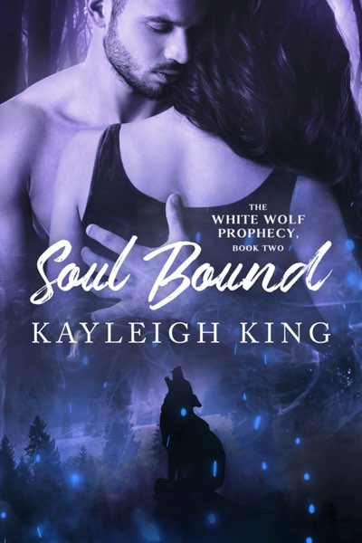 Soul bound cover