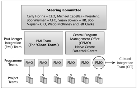 Figure 11.4 Merger integration team organisation chart