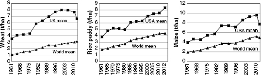 c1-fig-0006