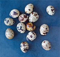 quail eggs