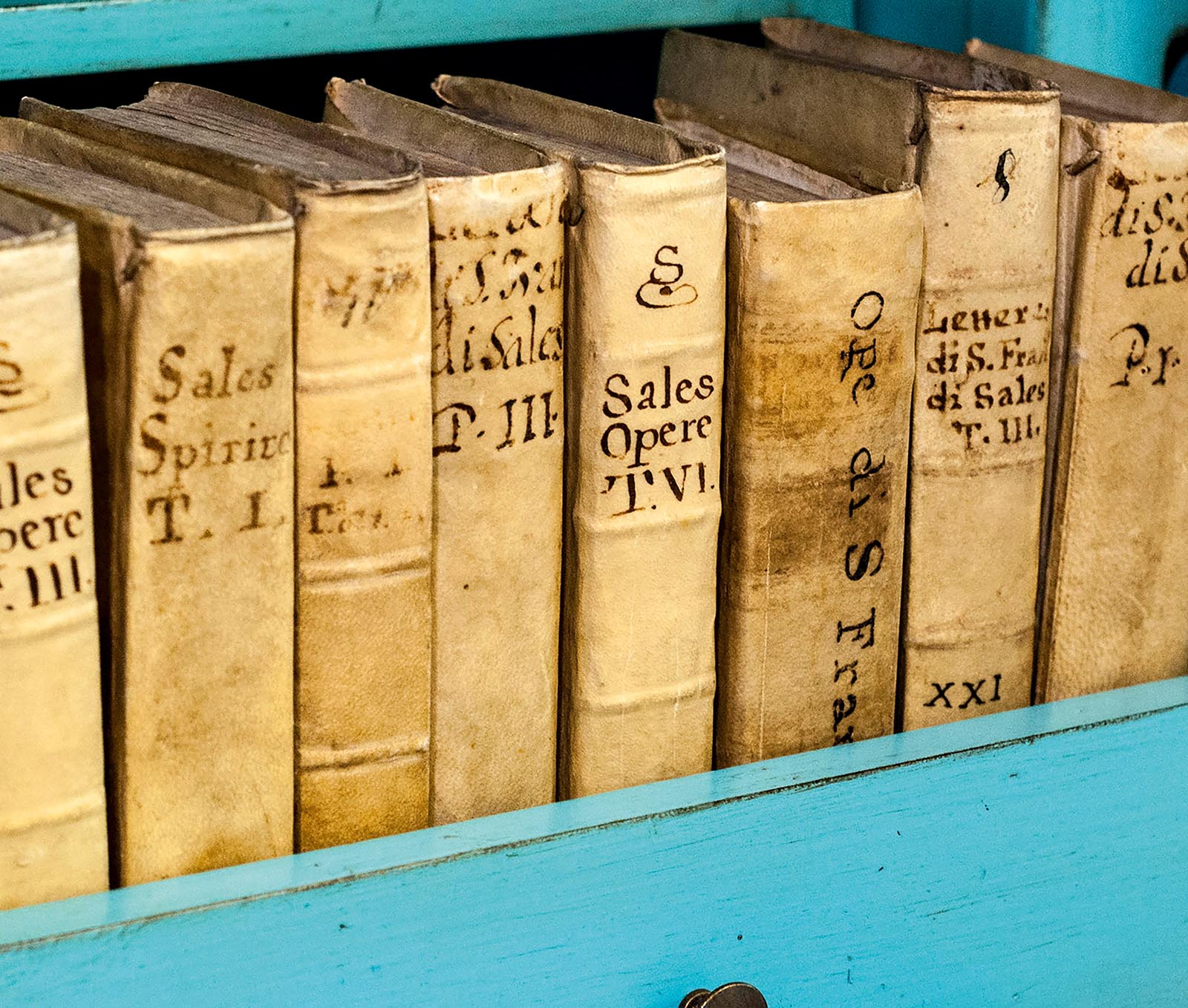 Photo of antique books with hand-lettered spines.