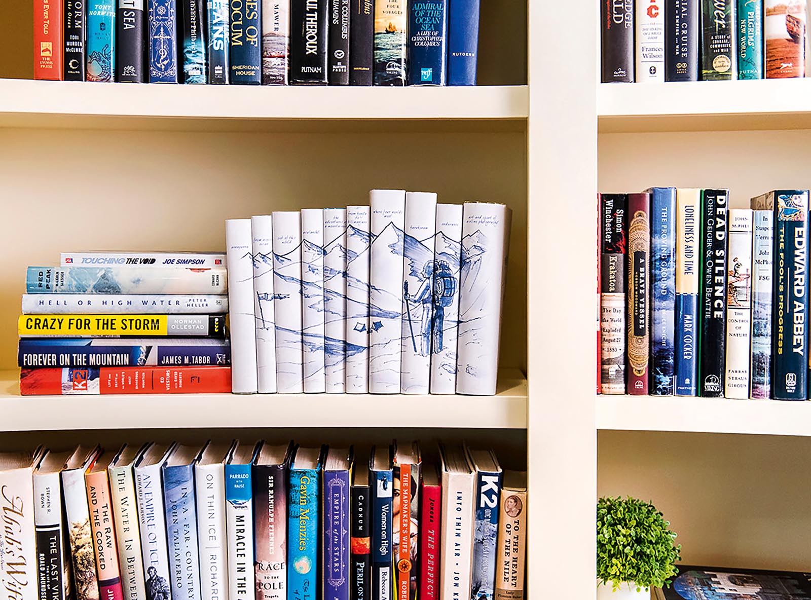 Photo of bookshelves, including a group of books with mountains along the jacket spines.