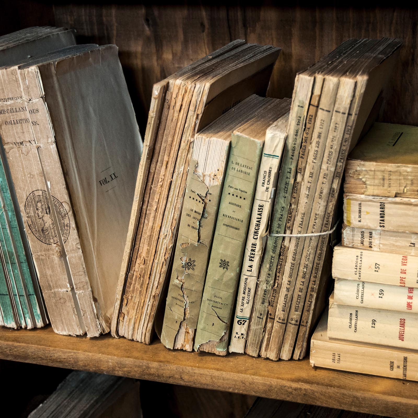 Photo of a shelf of paperbound books with yellowing, aged pages and ripped and torn bindings.