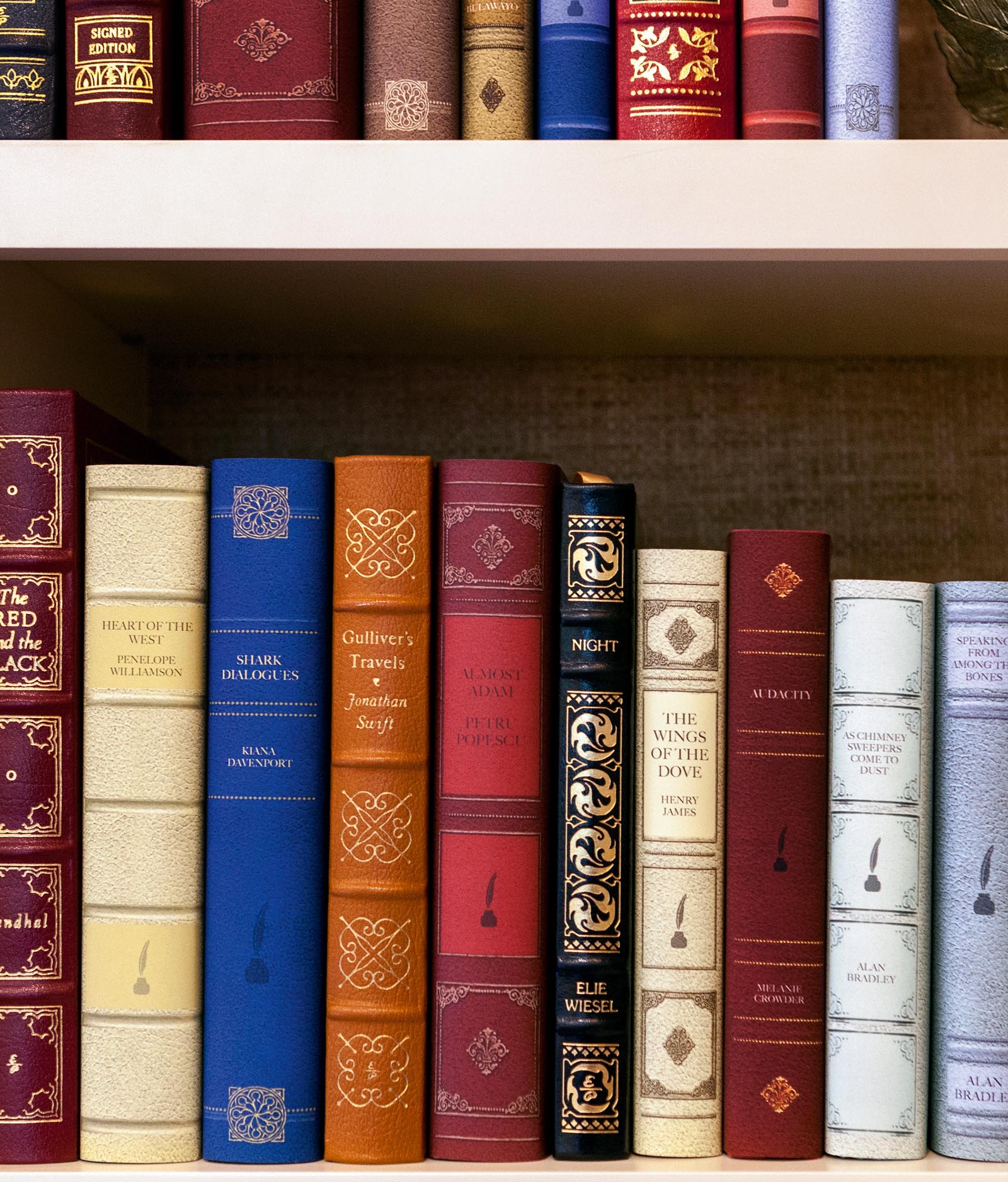 Photo of a shelf with a combination of leather-bound books and jackets that match the style.