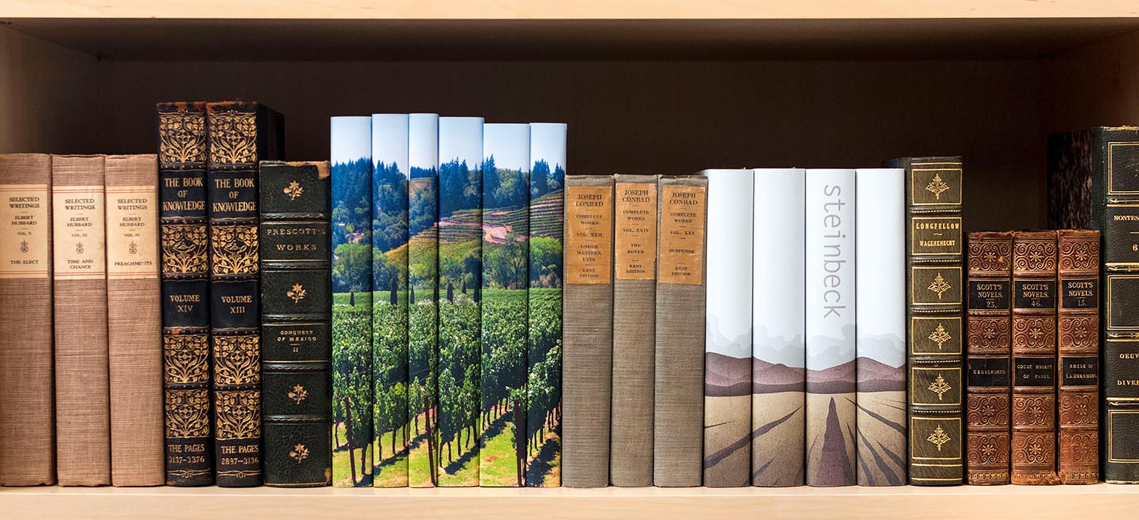 Photo of a shelf with leather-bound books and groups with jackets having an image on the spine when shelved together.