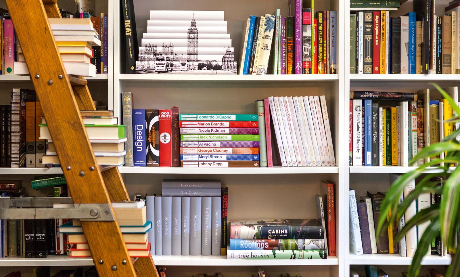 Photo of books grouped and stacked on shelves and ladder steps.