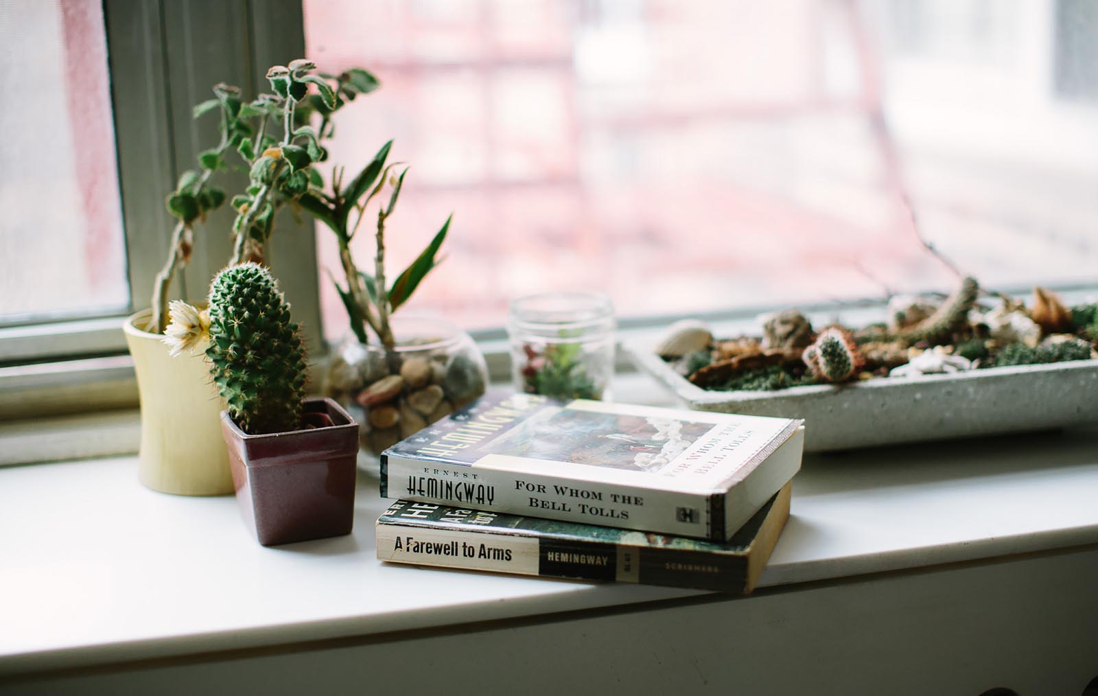 Photo of a window sill storing 2 books and a collection of succulents.