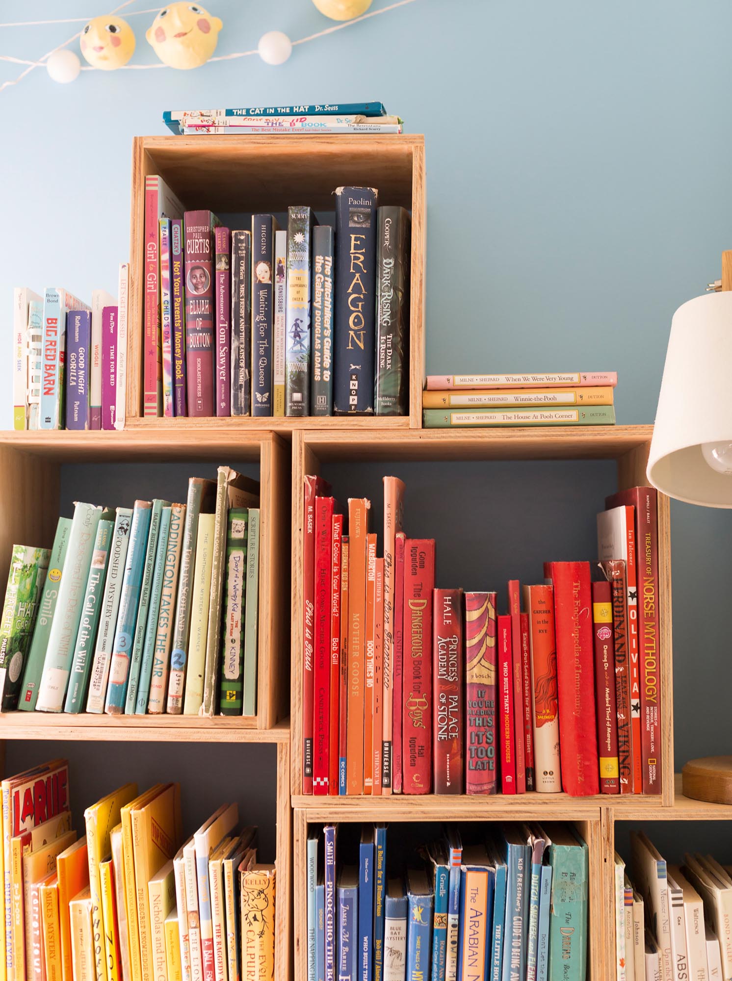 Photo of groups of books in small wooden boxes organized by color.