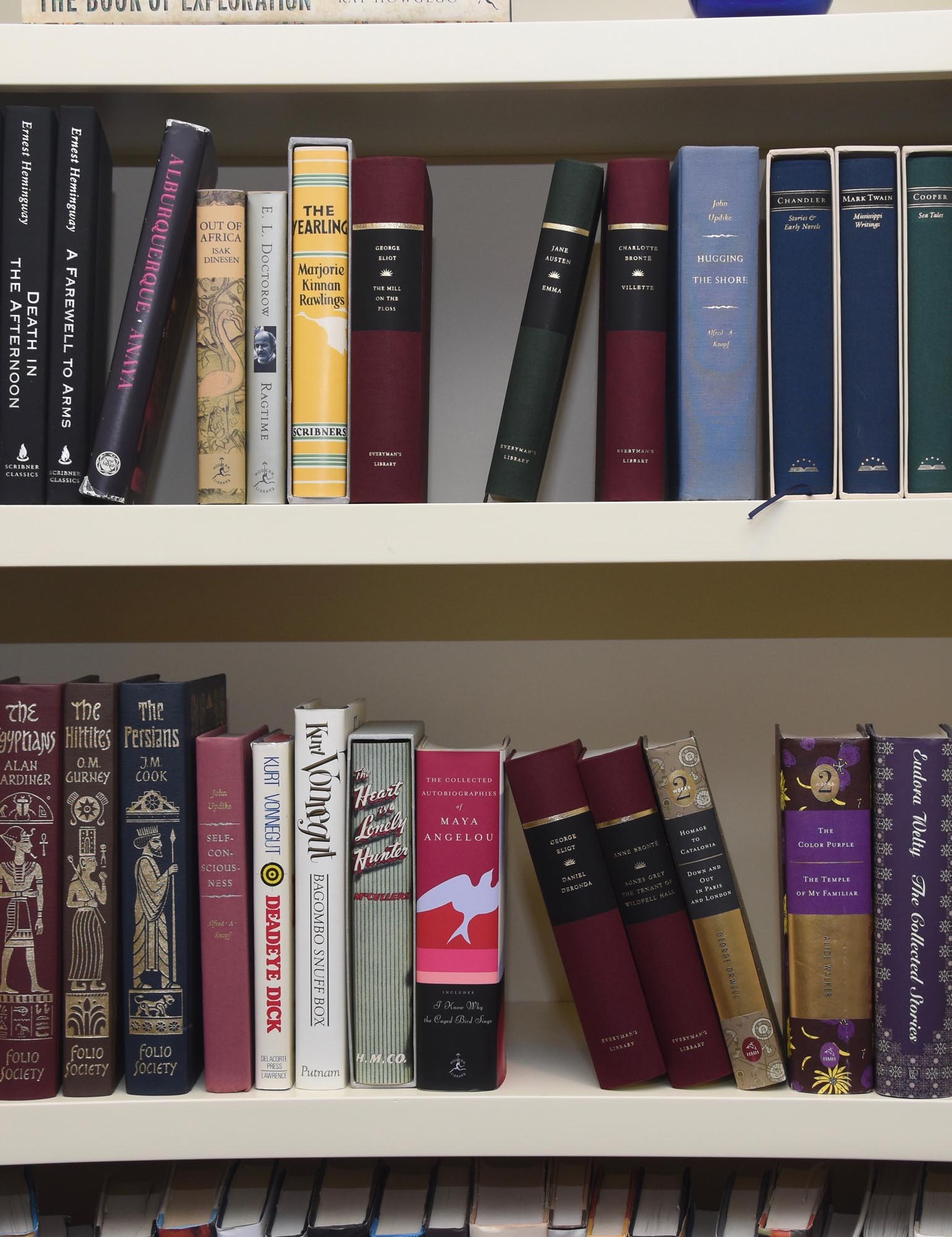 Photo of a before picture of a pair of shelved with hardcover books.