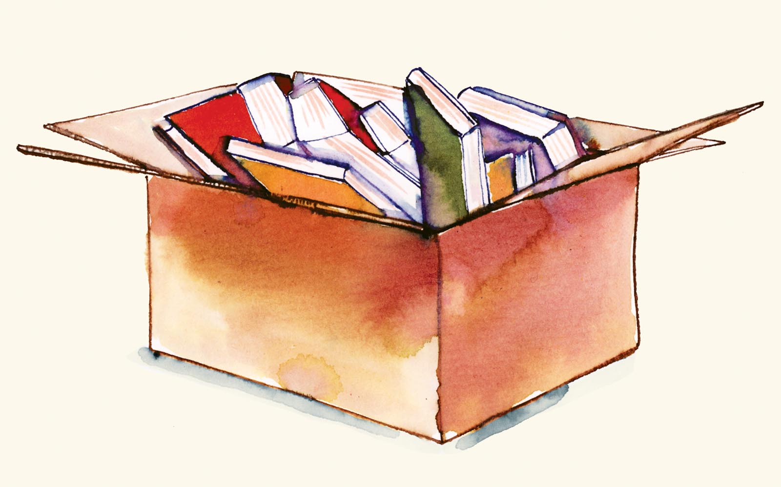 Illustration of a box of books.