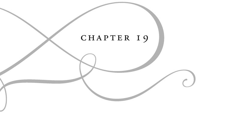 Chapter 19