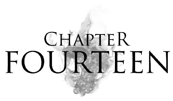 Chapter Fourteen