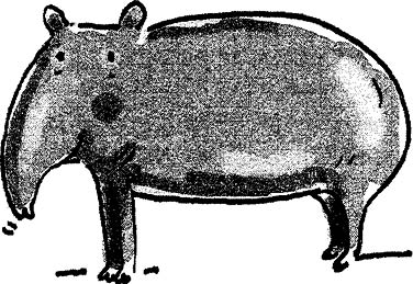 Image434.tif