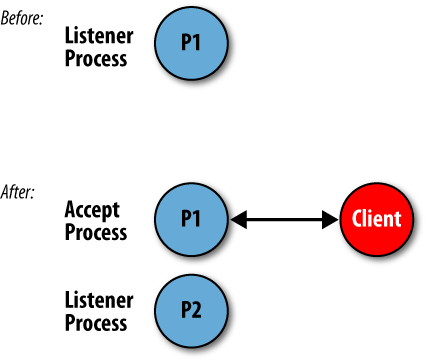 The listener and accept processes