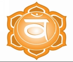 http://www.chakra-anatomy.com/image-files/sacral-chakra.jpg