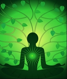 http://www.chakra-anatomy.com/image-files/heart-chakra-colors.jpg.pagespeed.ce.lyRqYBCXx_.jpg