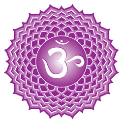 http://www.chakra-anatomy.com/image-files/crown-chakra.jpg