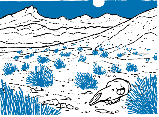 Illustration of a desert.