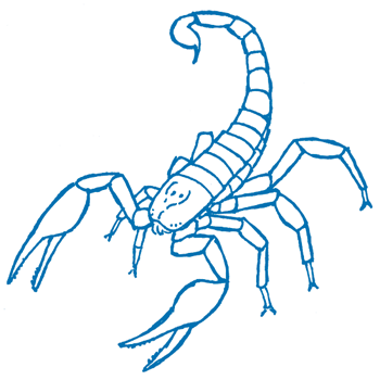 Illustration of a scorpion.