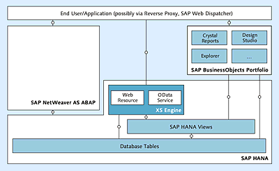 Direct Access to SAP HANA