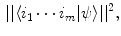 $$\begin{aligned} ||\langle i_1\cdots i_m | \psi \rangle ||^2, \end{aligned}$$