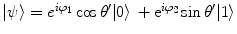 $$|\psi \rangle = e^{i \varphi _1 }\cos \theta ' |0\rangle \,+ \mathrm {e}^{i\varphi _2}\sin \theta ' |1\rangle $$