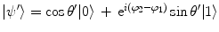 $$|\psi '\rangle = \cos \theta ' |0\rangle \, + \, \mathrm {e}^{i(\varphi _2-\varphi _1)}\sin \theta ' |1\rangle $$