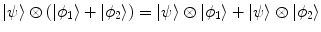 $$|\psi \rangle \otimes (|\phi _1\rangle + |\phi _2\rangle ) = |\psi \rangle \otimes |\phi _1\rangle + |\psi \rangle \otimes |\phi _2\rangle $$