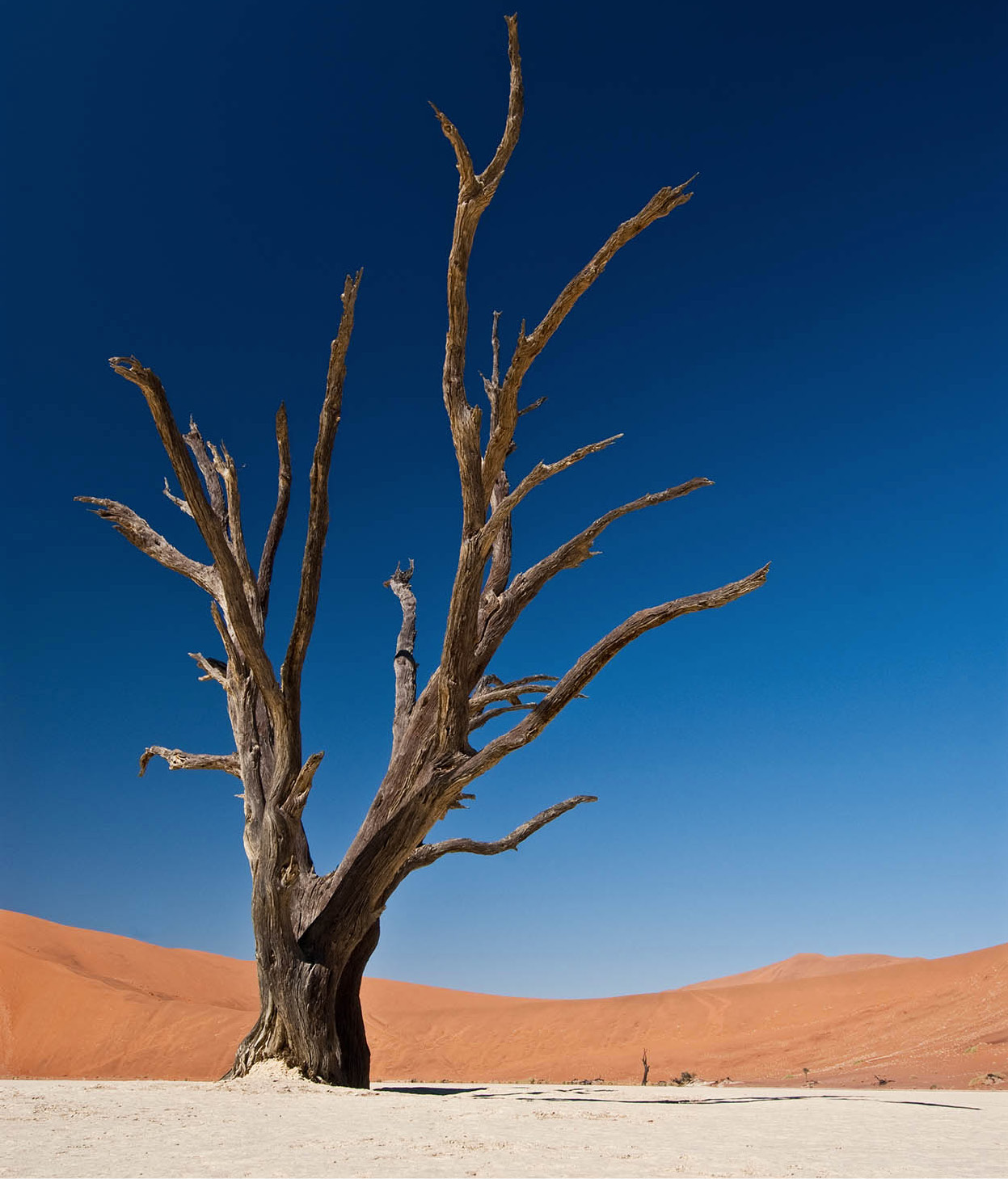 CLThomas_100627_0064_Namibia_EC.jpg