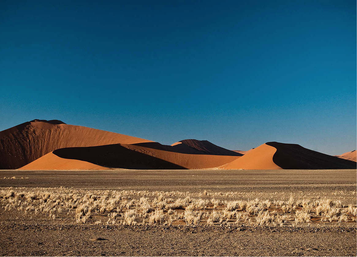 CLThomas_100627_0445_Namibia_EC.jpg