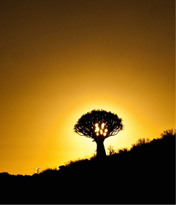 CLThomas_100715_4446_Namibia_EC.jpg