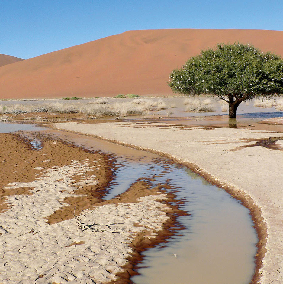 p1120206_Namibia_EC.jpg