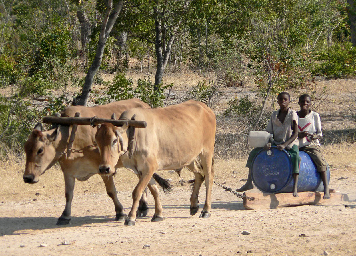 p1240289_Namibia_EC.jpg