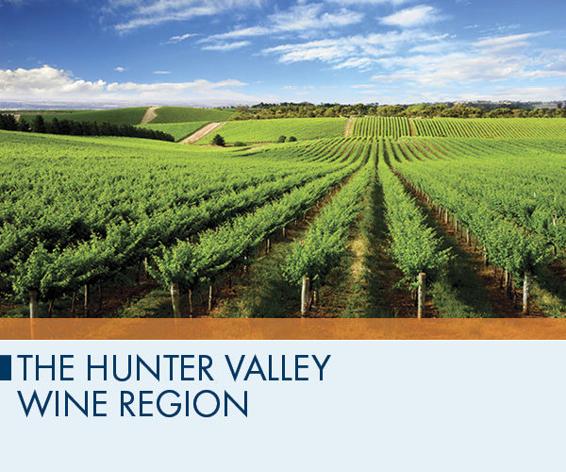 The Hunter Valley Wine Region