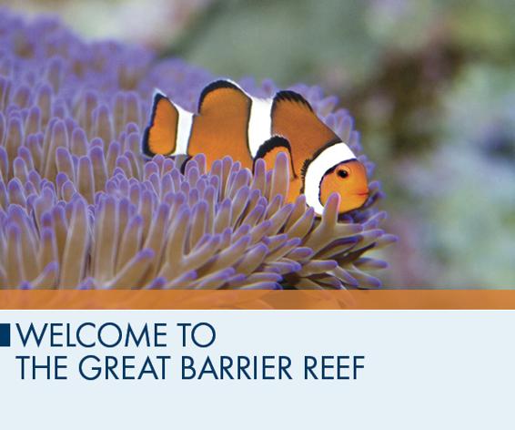 Welcome to the Great Barrier Reef