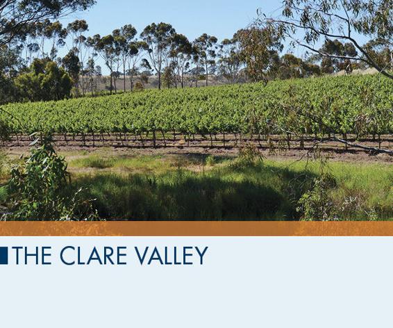 The Clare Valley