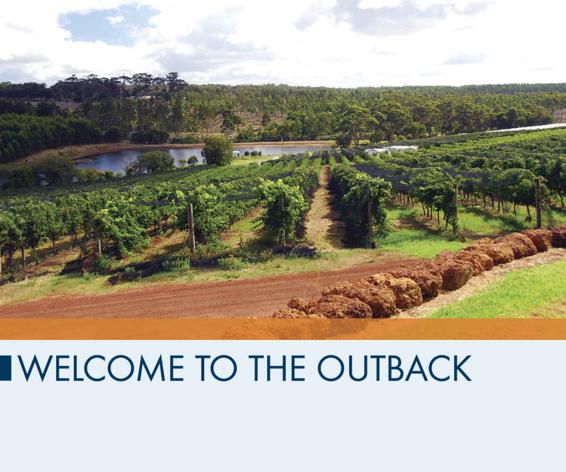 Welcome to The Outback