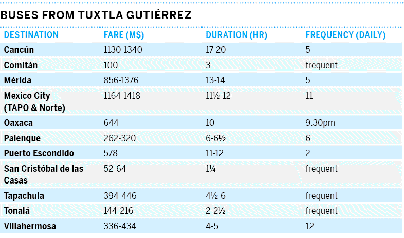 18-chiapas-mex15tableonpg3541png