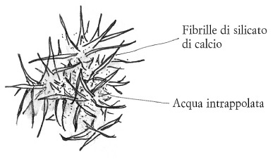 Schizzo raffigurante le fibrille di silicato di calcio.