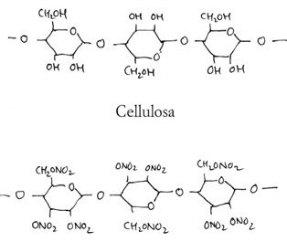 La somiglianza chimica tra cellulosa e celluloide.