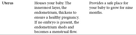 Table 1.1. Key reproductive glands and organs