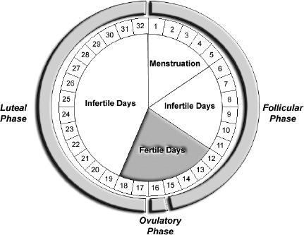 Figure 6.1. Fertility cycle